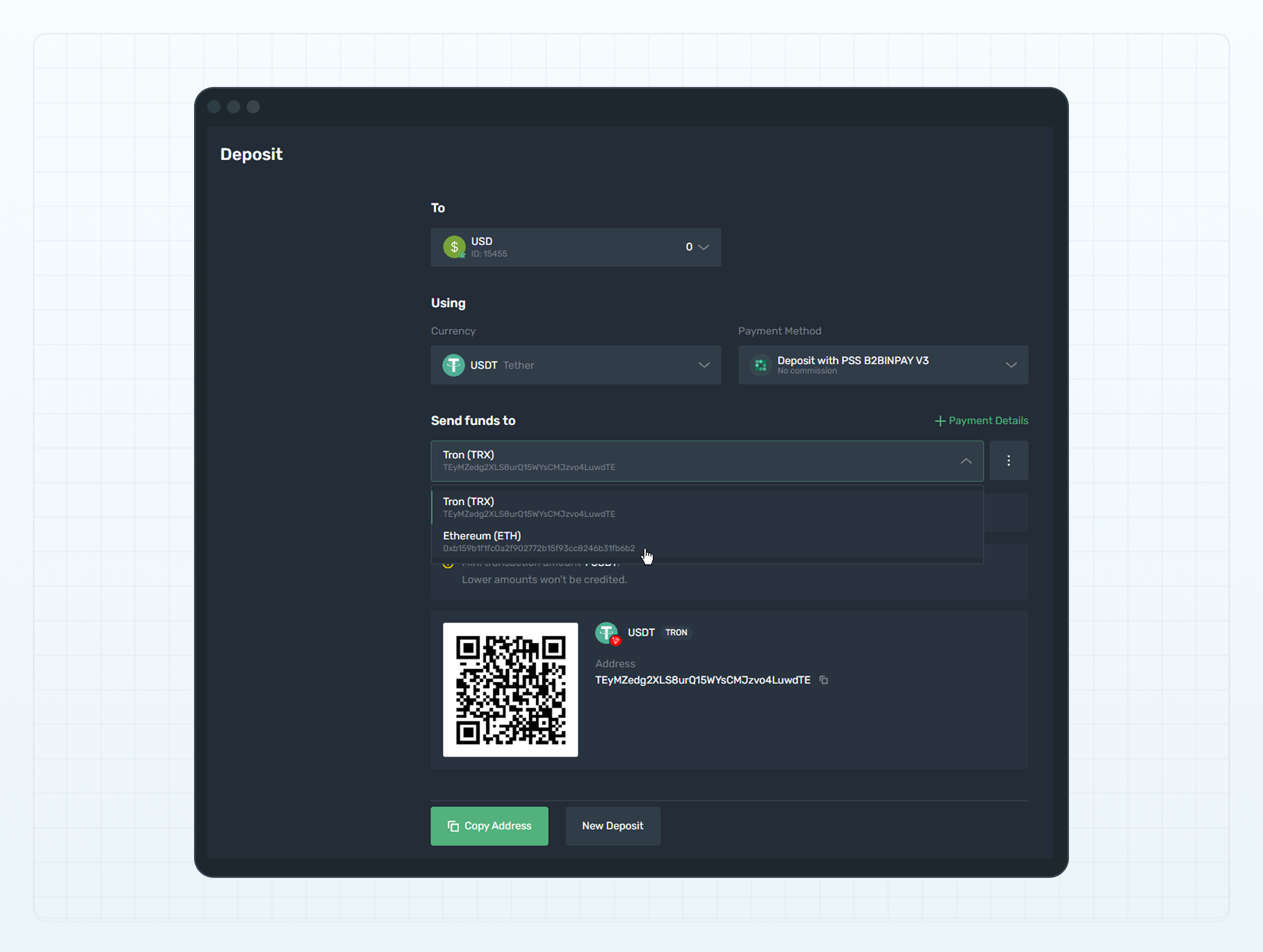 B2BINPAY deposit method with static payment details